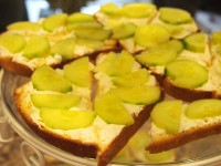 A Look Inside the Protein Bar